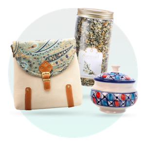 337e6da79b6d397c3cd3db35a5af6a77d2eb657e_1733131627